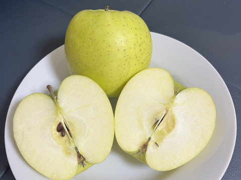 青森県産りんご　王林　訳アリ　【5㎏　14～20個入り】