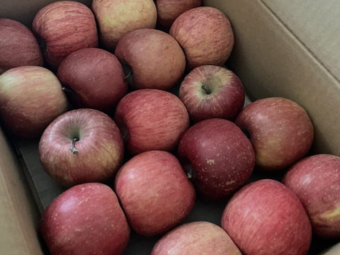 【極小玉・バラ詰め】🍎毎日りんご!! サンふじ🍎家庭用 約3Kg🍎コスパ抜群　青森県産　数量限定　ポケットりんご
