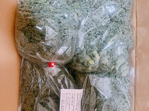 カリーノケール1kg露地栽培