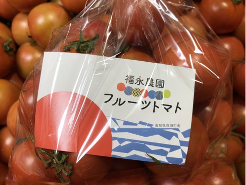 フルーツトマトたっぷり１kgを３袋！ご家庭用に袋でお届け。ご家族や友達とシェア購入にいかがですか♪