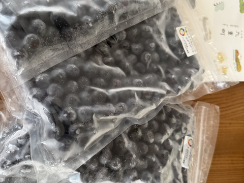 【予約開始！】新鮮完熟ブルーベリー（１kg）エシカル自然農法で安心安全をお届け！