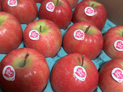 キュンとくる酸味りんご❗　ピンクレディー®（12個から16個）箱含め3キロ
