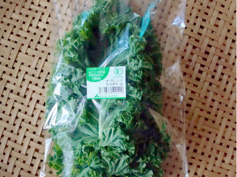 サラダ・スムージー用オーガニックケール【80gパック・30入り】