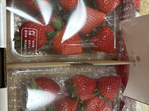 ⑨真心農園　あまりん【葵】化粧箱２パック入り　ご贈答でも好まれます！TCAMAO2P