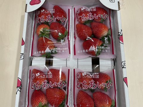 (4P)約1kg【いちご・とちあいか】実がしっかりして酸味が少なく甘さが際立つ新品種★「とちあいか」(４パックx260g) 栃木県産いちご●一番人気いちごセット●お届け日指定可