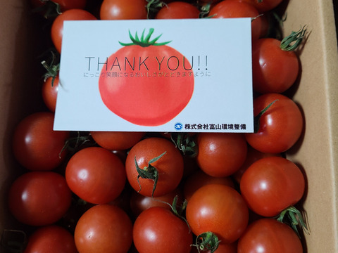 濃厚な旨味！酸味・甘味のバランス抜群！最高峰のミニトマト『フォレストフルティカ』1kg×1箱