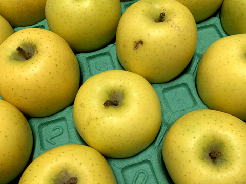 ~🍏青森りんごを直送🍏~『特別貯蔵完熟シナノゴールド』ご自宅用5Kg 13個から20個入り