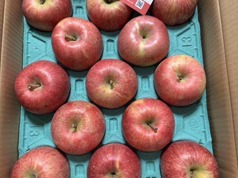 【王道サンふじ】　5㎏　13～20玉　本場青森りんご　農家直送　元気なりんご