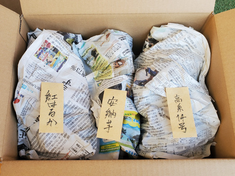 島さつまいも三彩セット 紅はるか/安納芋/高系14号 計５kg【ほくほく・ねっとり食べ比べ】