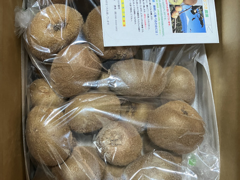 ビッくりキウイふる～つ （偏平Ｌ） 4キロ【品種ヘイワード】）