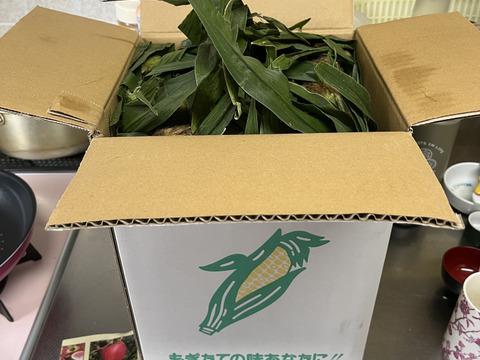 朝収穫して当日発送！とうもろこしゴールドラッシュ約5k 2Lサイズ11本〜12本