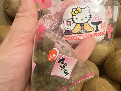 追熟なし　キウイフルーツ ❮3.8キロ❯ 約50個