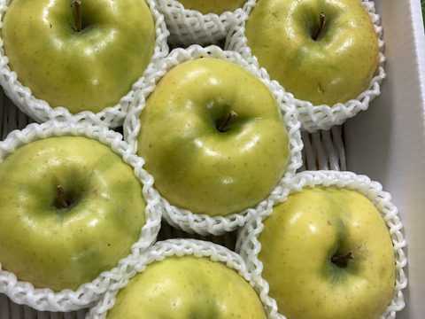 超希少りんご　こうこう3キロ7-12玉　樹上完熟蜜入りチェック済み　幸せ呼ぶ黄色いりんご　11月25日頃より発送予定