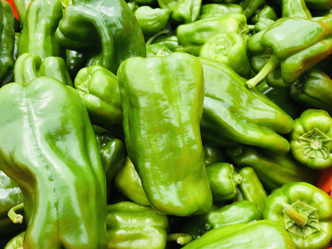 夏と言えばピーマン！（？）笑
今年もやってきた京波ピーマン。
味も見た目も普通のピーマンです！
家庭用　1kg入り