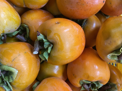 【お得なセット】岐阜郡上の梅　しそふりかけ　蜂屋柿　人気商品をセットに！