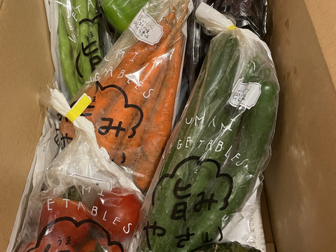 栄養価コンテスト10冠達成！旨み野菜セット【S】