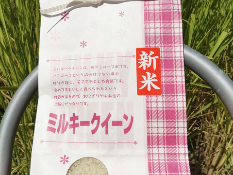 新米 令和7年産 強い粘りのミルキークイーン 一等米　5㎏