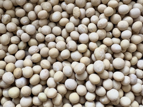 ４種食べ比べ🫘小豆＋黒豆＋鶴の子大豆＋くらかけ豆（4種✕200g＝800g）★北海道産★農薬化学肥料･除草剤不使用🫘☺️メール便📨