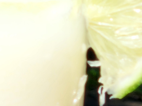 初物❗箱入りレモン息子(栽培期間中農薬不使用・有機肥料・ノーワックス)皮まで食べて❗