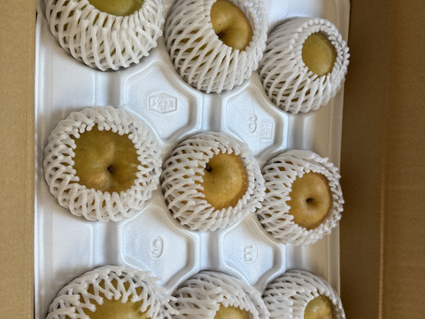 【家庭用】鳥取県大山町産『新甘泉』5kg