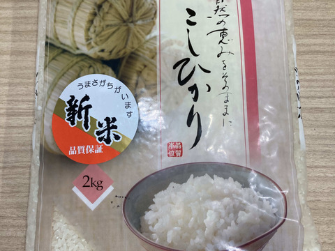 石川県直送コシヒカリ米 5kg（精米）