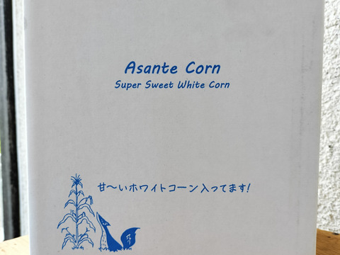 【予約販売】極甘！有機ホワイトコーン10本