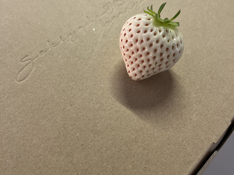 【Premium Strawberry Selection】
特選よつぼしと全国コンテスト受賞はるひ　290g×2p