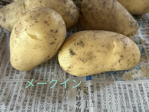 新じゃが食べ比べ❣️きたあかり、キタカムイ、メークイン約700g✖️3種で約2kgのセットで。