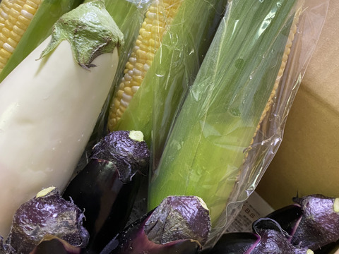 わたあめとうもろこし　4本　( ´ ▽ ` )あまー