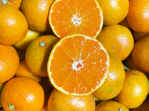 【愛媛県中島産】極甘みかん　訳あり南柑20号　サイズS,2S