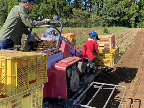 3種　1番人気サイズの食べ比べ❣️S〜Lサイズ
9.8kg