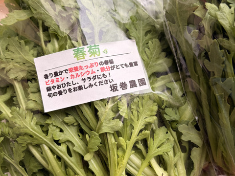 旬の野菜セット！ 大和ルージュ　2本入り
80サイズの箱に7種から10種類程度のお野菜詰め合わせ