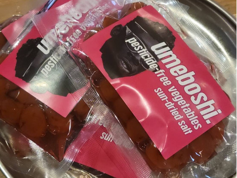 【電子食品流通研究所×廣川農園×mekuri Presents】農薬・化学肥料・除草剤不使用・無添加　特製梅干し約90g×2袋