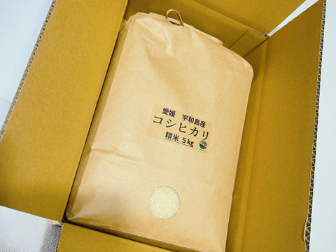 【令和6年度産】新米 コシヒカリ ５㎏ ＊特別栽培米＊