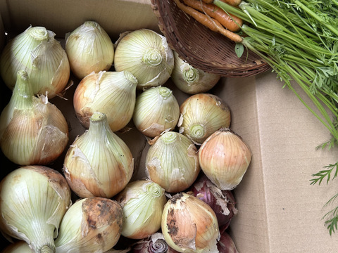 新玉ねぎ3kgに紫玉ねぎ3個とにんじんの間引き菜一把のセットで。