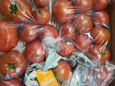 【旬終盤・お買い得3kg】アルテトマトなかま☆深い旨味の高糖度トマト～13%OFF～