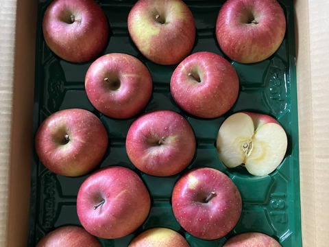 残りわずか！味濃い甘い！サンふじ★無肥料.農薬節約30%〜.除草剤.摘果剤.摘葉剤不使用★【5kg箱】
玉数指定不可/予約販売開始！/家庭用/りんご