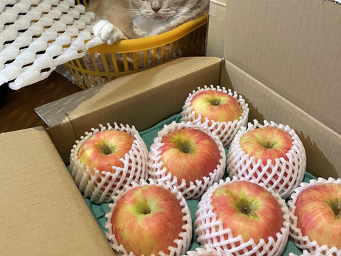 食べ応え抜群 シナノドルチェ 3キロ箱6玉〜15玉サイズ 商品ID41173 長野県 信州 安曇野 リンゴ 幻 幻のリンゴ 予約 希少 旬