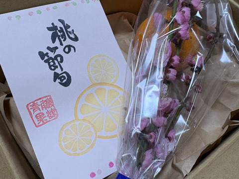 ご家庭用】もぎたて 花良治(けらじ)みかん(小玉） 約1.6㎏：愛媛県産の