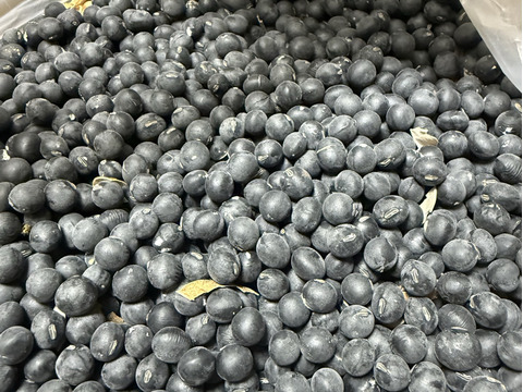 🎍初売り🎍丹波黒大豆　５００ｇ（250g×2袋）　　　　　　　ウマい🐴黒豆食べて「今年もまめ（健康）に過ごしましょう