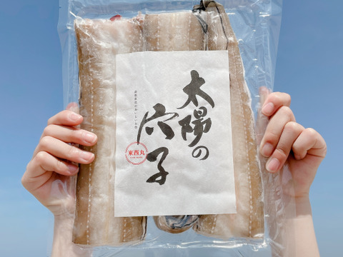 太陽のあなご 日本海で育った絶品あなご 130g 150g 島根県産 食べチョク 農家 漁師の産直ネット通販 旬の食材を生産者直送