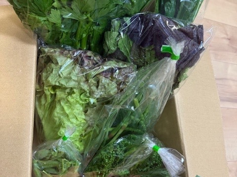 【有機JAS認証 有機野菜10品入り】京野菜から定番野菜、珍しい野菜も！京都の棚田大原で心を込めて大切に露地栽培された大地の恵みたっぷり！有機野菜が必ず10品入り！