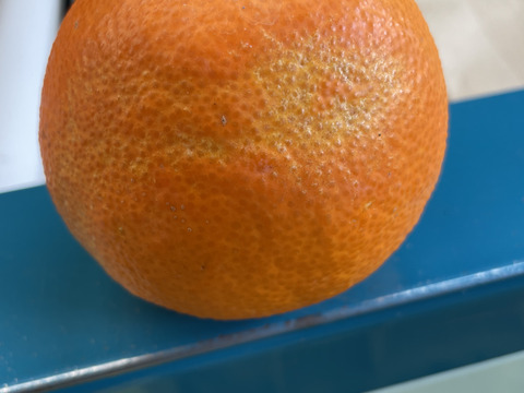 プルプルジューシー！！まどんな(訳あり) 3キロ