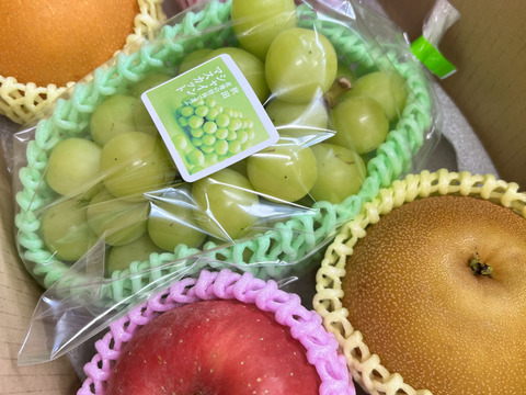 【旬のフルーツセット】りんご 梨 シャインマスカット 大満足 秋の味覚 フルーツ 果物 ゴルフコンペ プレゼント 誕生日