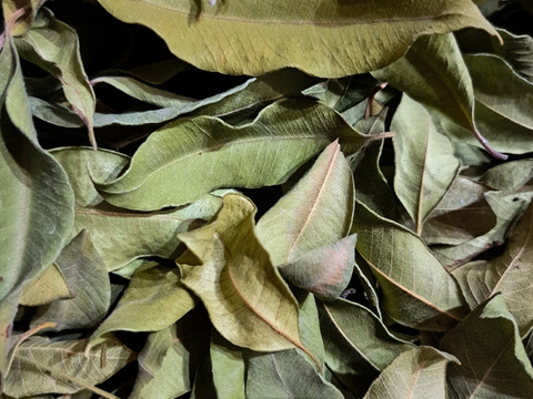 香り豊かなレモンマートル ドライ 10g