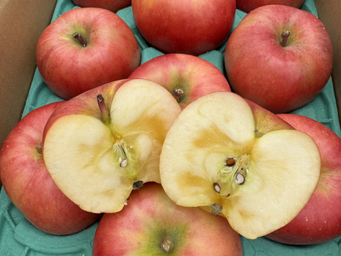 近年大人気！　蜜が入りやすく、パインの様な味わい　“こうとく”　家庭用　約3キロ　限定再販売！