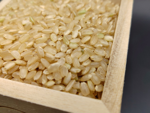 ＊甘み・粘りが強く柔らか食感　令和4年産特別栽培米ヒノヒカリ玄米　3kg