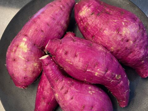 紅はるか　新芋　4,5kg