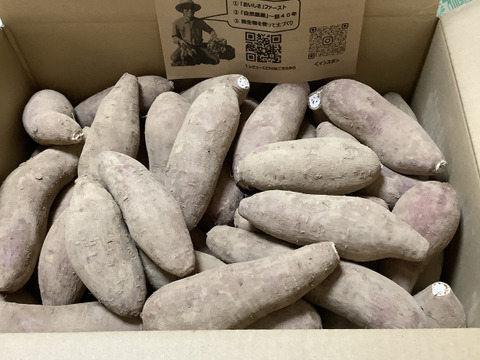 発送中🍠【規格外】ねっとり甘い安納芋５KG 焼き芋にピッタリ！五島の海水を使って育てました！農薬/化学肥料不使用 サツマイモ/さつまいも