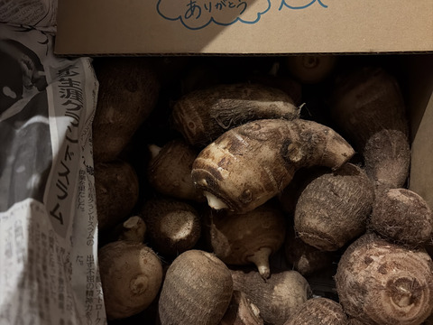 【野菜ソムリエサミット金賞受賞🥇】絶品！とろける里芋【とろまろ】4.5kg土付き